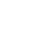 d11 icon