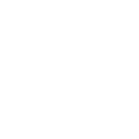 d11 icon
