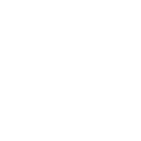 d11 icon