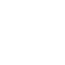 d11 icon
