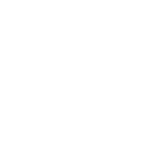 d11 icon