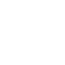 d11 icon